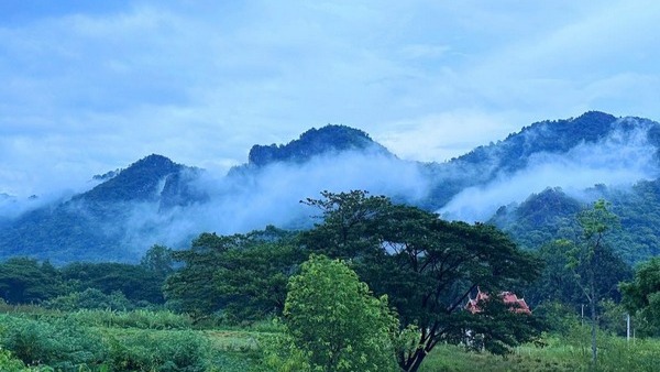 ธรรมชาติและสภาพแวดล้อมศูนย์ปฏิบัติธรรม